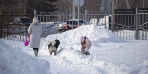 Зима в Барнауле, 2025 год.