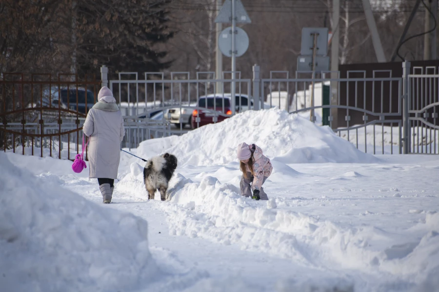 Зима в Барнауле, 2025 год.