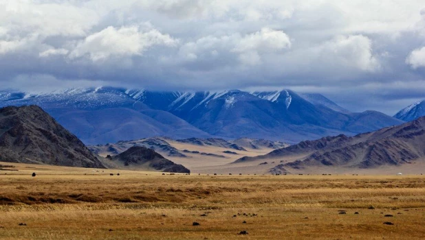 Степи. Горы.