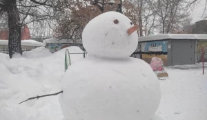 Поражающего своей аккуратностью снеговика заметили в Барнауле.