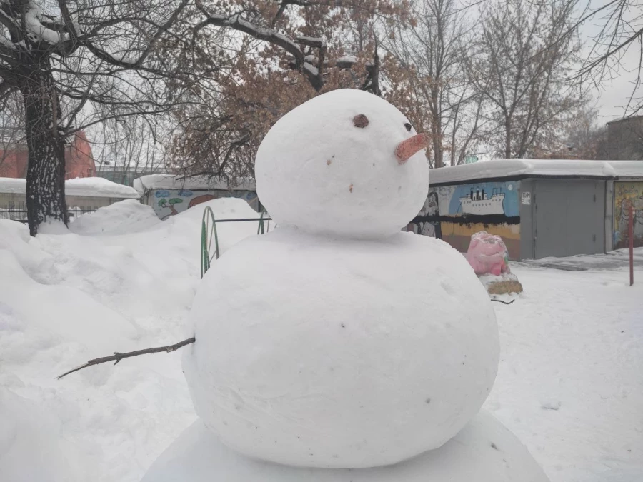 Поражающего своей аккуратностью снеговика заметили в Барнауле.