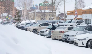 Барнаульцы сражаются с метелью и сугробами, 2025 год.