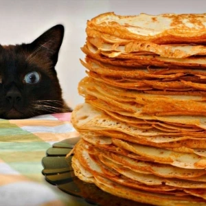 Самые блинные мемы про Масленицу. Подборка