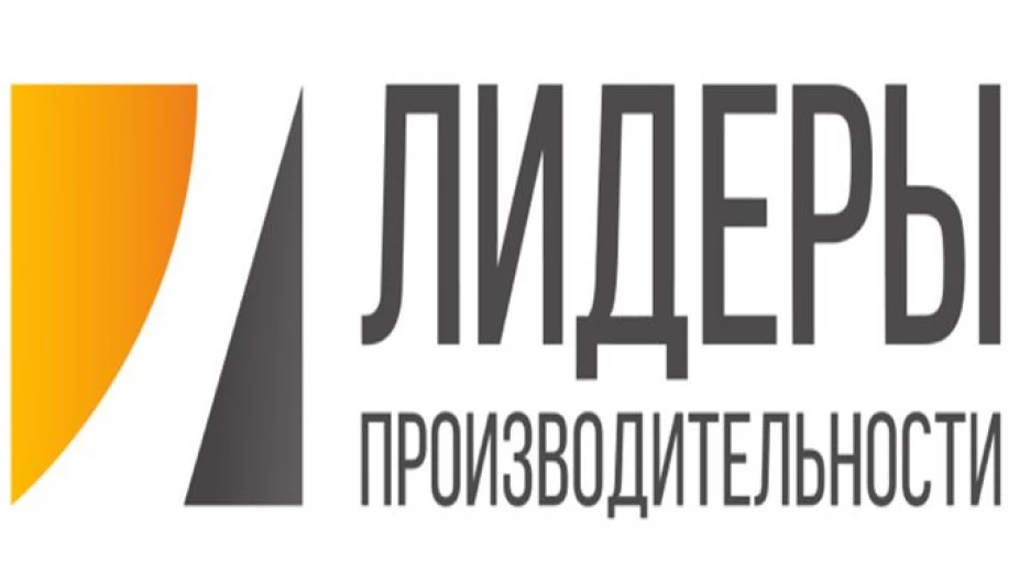 Программу повышения квалификации «Лидеры производительности».