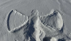 Прогулка по набережной Оби.