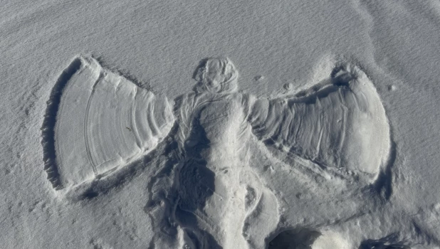 Прогулка по набережной Оби.