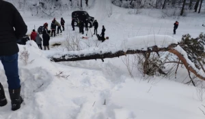 Утонул ребенок в речке Барнаулке.