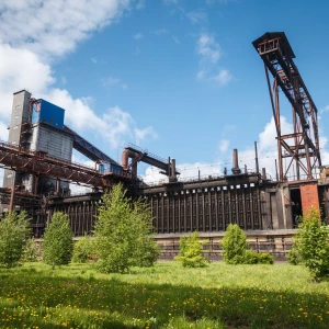 Алтай-Кокс.