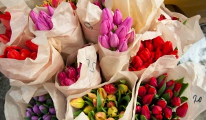 Букеты тюльпанов.