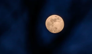 Барнаульцы увидели кровавую Луну до полного затмения с 12 по 13 марта.