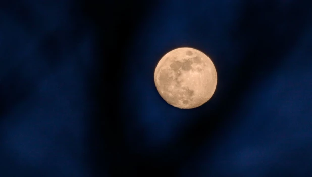 Барнаульцы увидели кровавую Луну до полного затмения с 12 по 13 марта.