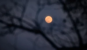 Барнаульцы увидели кровавую Луну до полного затмения 13 марта.