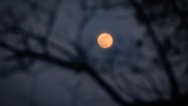 Барнаульцы увидели кровавую Луну до полного затмения 13 марта.
