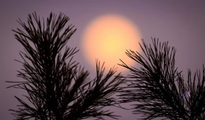 Барнаульцы увидели кровавую Луну до полного затмения 13 марта.