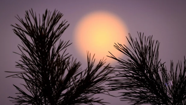 Барнаульцы увидели кровавую Луну до полного затмения 13 марта.