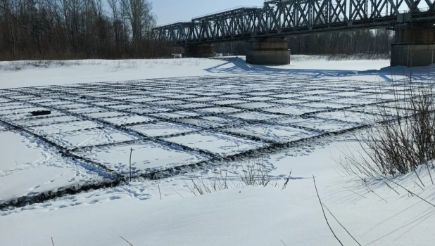 Что делают на Алтае для предотвращения паводка.