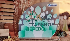 Грантовая программа «Стальное дерево» действует в Алтайском крае с 2018 года. 