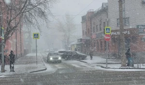 Весенняя метель накрыла Барнаул