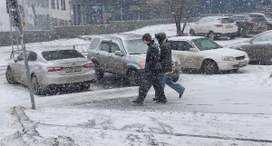 Весенняя метель накрыла Барнаул