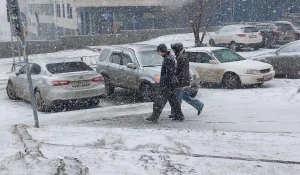 Весенняя метель накрыла Барнаул