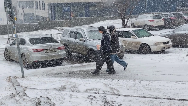 Весенняя метель накрыла Барнаул