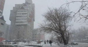 Весенняя метель накрыла Барнаул