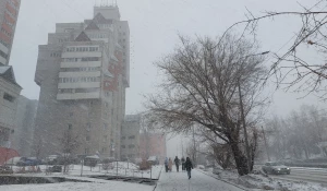 Весенняя метель накрыла Барнаул