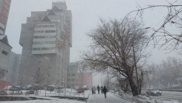 Весенняя метель накрыла Барнаул