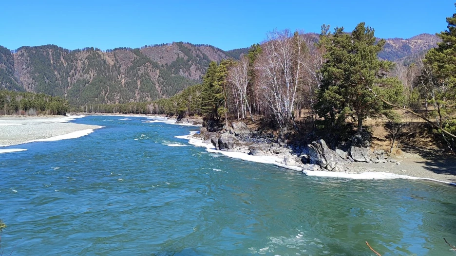 Катунь весной.