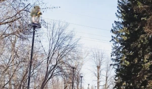 В Изумрудном парке бегала обезьяна