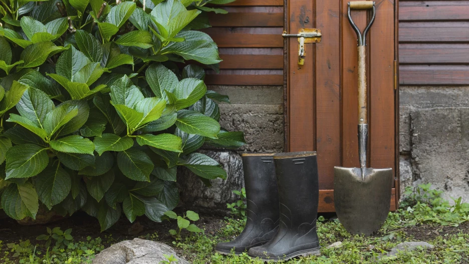 Дача, дачный домик, лопата, резиновые сапоги.