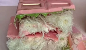 «Волосатый шоколад» или Angel Hair.