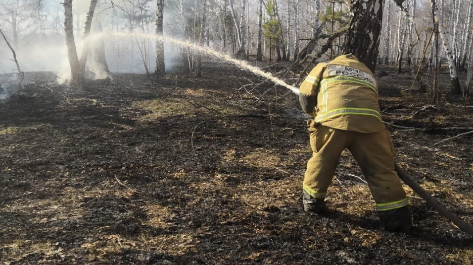 Сотрудники МЧС тушат травяные пожары на Алтае.