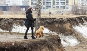 Пустырь за ТЦ «Европа» .