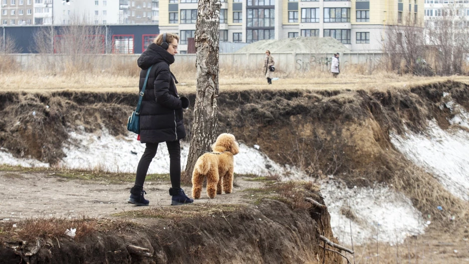 Пустырь за ТЦ «Европа» .