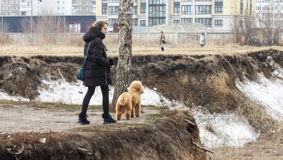 Пустырь за ТЦ «Европа» .