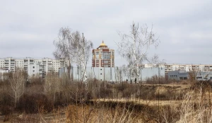 Пустырь за ТЦ «Европа» .