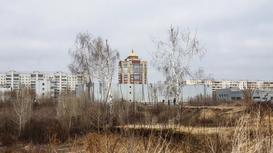 Пустырь за ТЦ «Европа» .