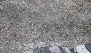 Барнаул снова окутал снег.