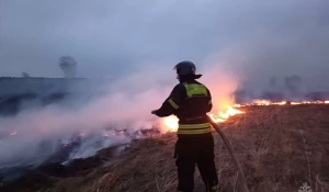 Сгорела большая площадь сухой травы в Бийске