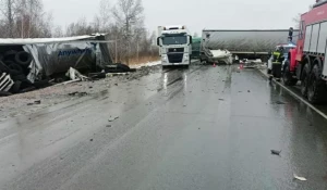 В Новосибирской области столкнулись две фуры.