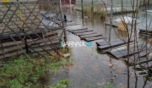 В Алтайском селе топит дома и улицы.