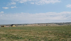 Поле. Деревня. Алтайские поля.