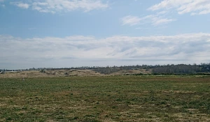 Поле. Деревня. Алтайские поля.