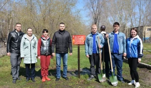 Новые кусты появились на Сиреневой аллее в Барнауле