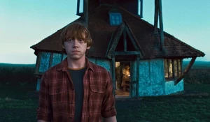 Руперт Грин в фильме «Гарри Поттер и Дары смерти: часть 1».