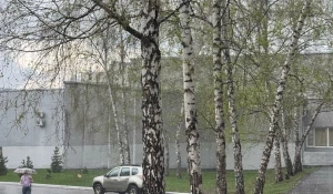 Ливень в Барнауле.