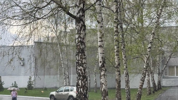 Ливень в Барнауле.