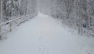 Снег в Свердловской области.