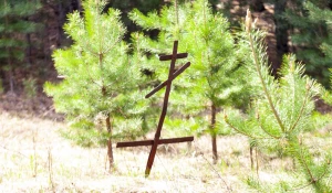 Булыгинское кладбище.